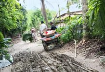 ভেড়ামারার মোকারিমপুরের ফকিরাবাদ গ্রামের শতবর্ষী রাস্তা আজও অবহেলিত!