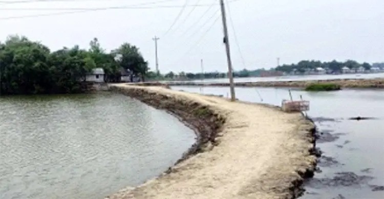 রাস্তা না থাকায় বিচ্ছিন্ন চাউলখোলার শতাধিক পরিবার